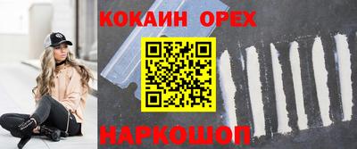 тгк Новодвинск