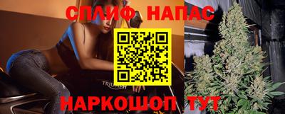 тгк Новодвинск