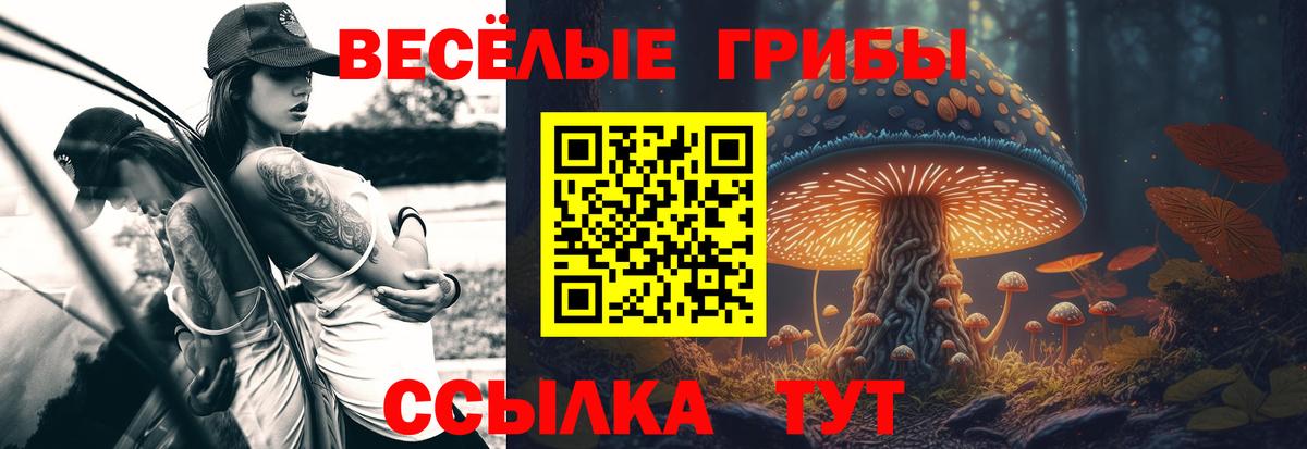 Галлюциногенные грибы прущие грибы  Вход с VPN  Тавда 